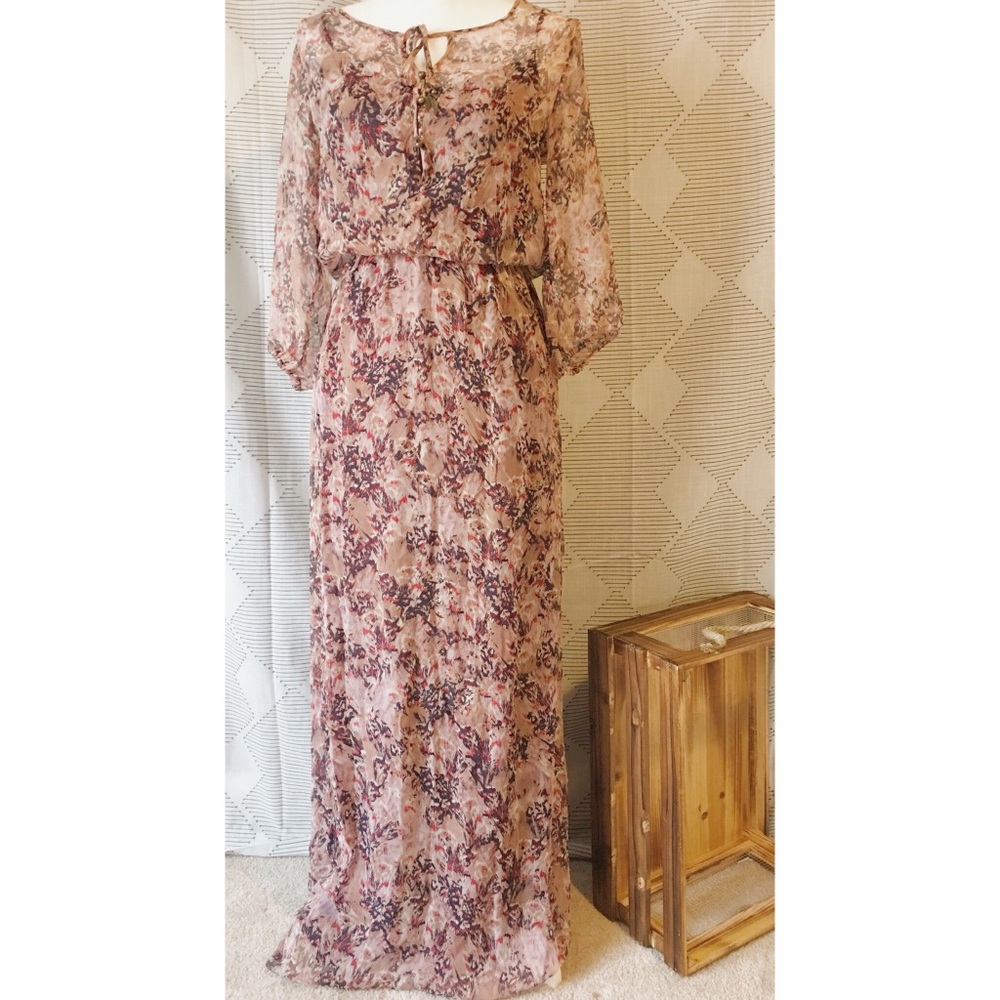 Ella Moss sheer silk maxi dress with built in slip